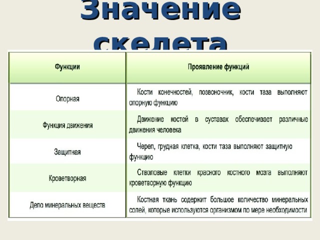 Какого значение скелета человека