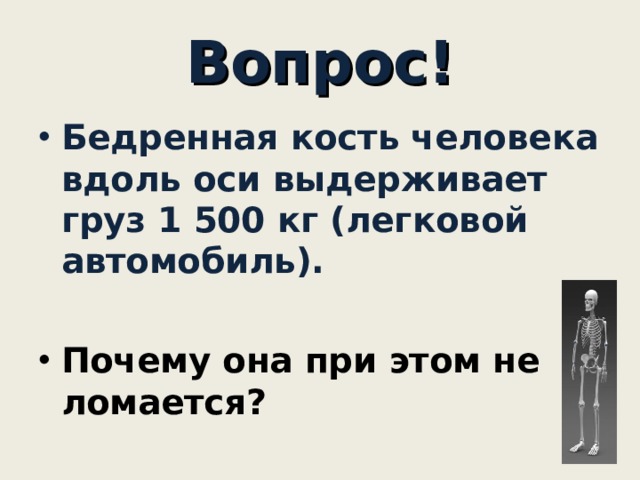 Вдоль человека