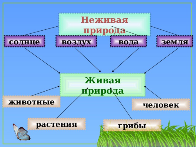 Понятие неживая природа