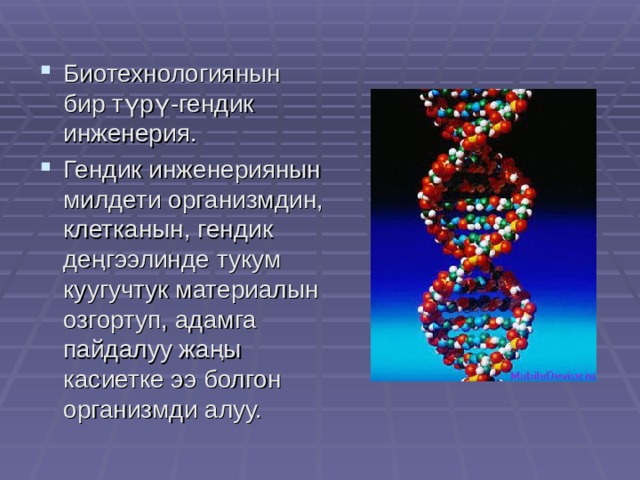 Биотехнологиянын бир түрү-гендик инженерия. Гендик инженериянын милдети организмдин, клетканын, гендик деңгээлинде тукум куугучтук материалын озгортуп, адамга пайдалуу жаңы касиетке ээ болгон организмди алуу. 