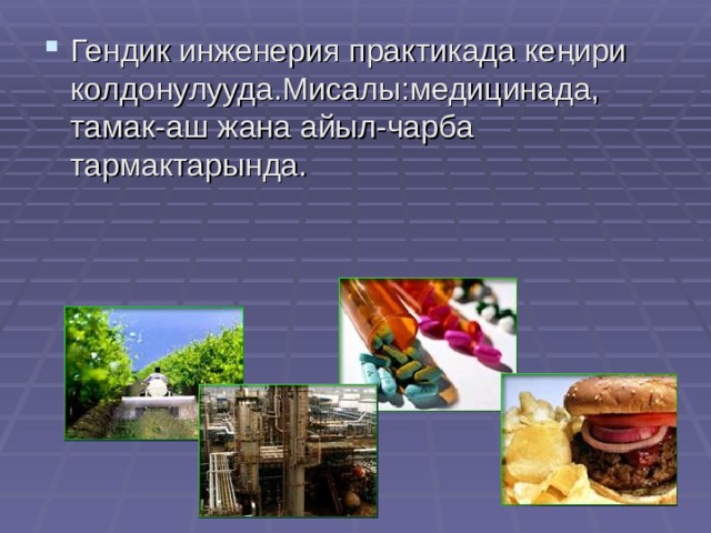 Гендик инженерия практикада кеңири колдонулууда.Мисалы:медицинада, тамак-аш жана айыл-чарба тармактарында. 