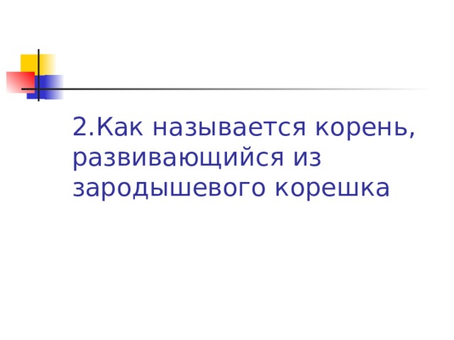 2.Как называется корень, развивающийся из зародышевого корешка 