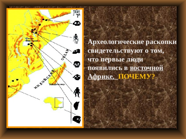 Археологические раскопки свидетели истории проект