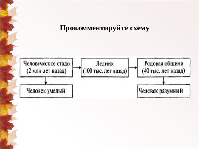 Дополни схему род община