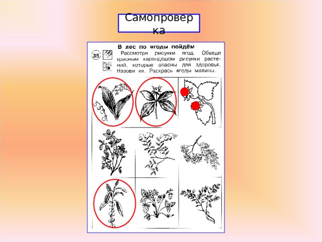 В лес по ягоды пойдем 1 класс пнш презентация