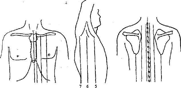 Линии грудной клетки схема топографические