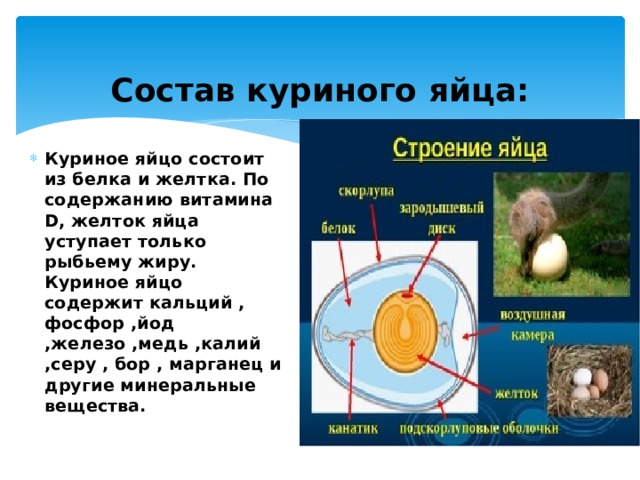 Состав яйца. Состав куриного яйца. Что состоит в курином яйце. Что содержит куриное яйцо. Состав желтка куриного яйца.