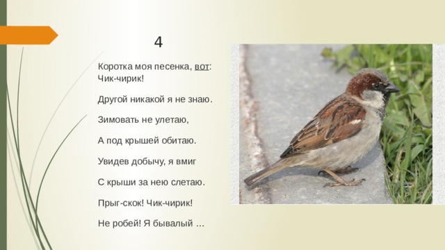 4 Коротка моя песенка, вот : Чик-чирик! Другой никакой я не знаю. Зимовать не улетаю, А под крышей обитаю. Увидев добычу, я вмиг С крыши за нею слетаю. Прыг-скок! Чик-чирик! Не робей! Я бывалый … 