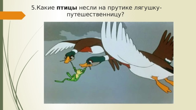 5.Какие птицы несли на прутике лягушку-путешественницу? 