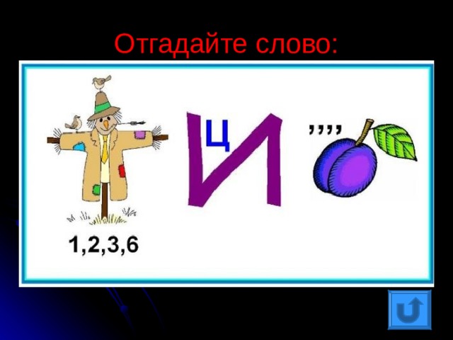 Картинки по русскому языку 5 класс с ответами картинки