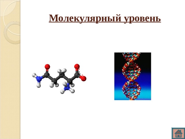 Молекулярный уровень 