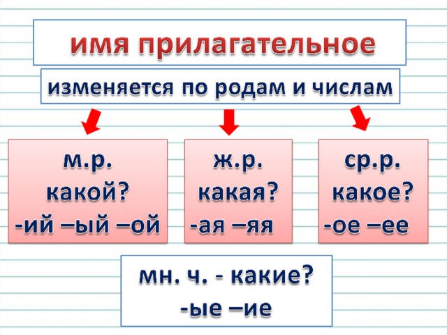 Какие прилагательные не изменяются