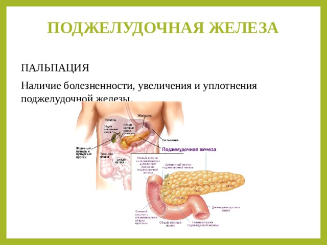 Пальпация поджелудочной железы. Поджелудочная железа пропедевтика. Пальпация поджелудочная поджелудочная железа. Методы пальпации поджелудочной железы.