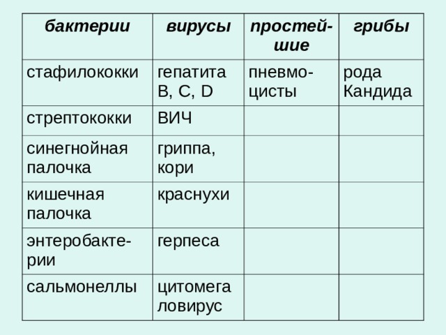бактерии вирусы стафилококки стрептококки гепатита В, С, D простей-шие ВИЧ пневмо-цисты грибы синегнойная палочка рода Кандида гриппа, кори кишечная палочка краснухи энтеробакте-рии герпеса сальмонеллы цитомегаловирус 