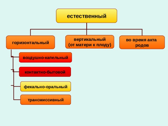 естественный вертикальный (от матери к плоду) горизонтальный во время акта родов воздушно-капельный контактно-бытовой фекально-оральный трансмиссивный 