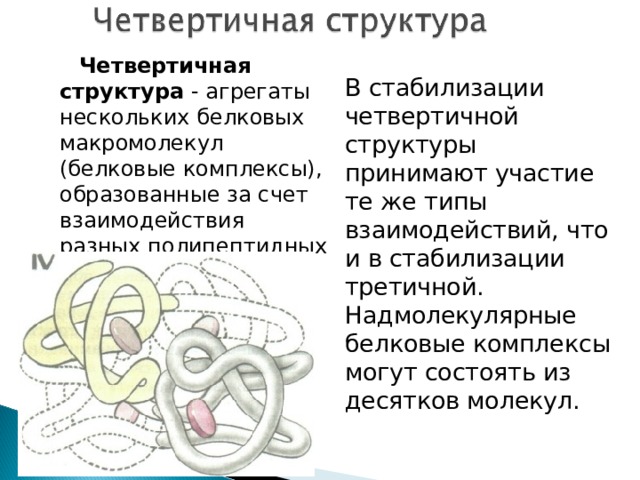 Четвертичная структура тип связи. Четвертичная структура белка.