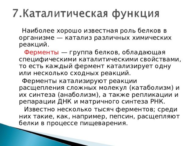 Какое вещество помогающее в переваривании белков кроме фермента пепсина выделяют железы в стенках