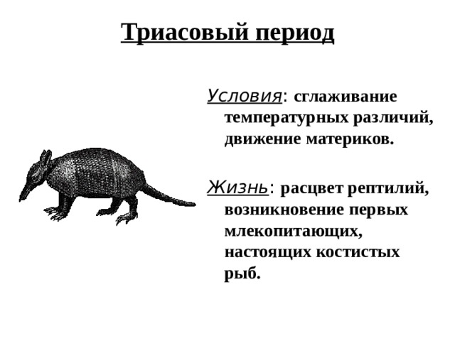 Карта триасового периода