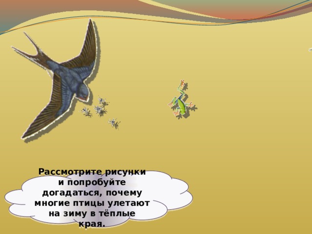 Рассмотрите рисунки и попробуйте догадаться, почему многие птицы улетают на зиму в тёплые края. 