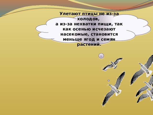 Улетают птицы не из-за холодов, а из-за нехватки пищи, так как осенью исчезают насекомые, становится меньше ягод и семян растений. 