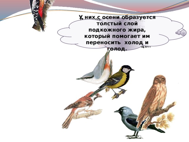 Где зимуют птицы 1 класс окружающий мир школа россии презентация и конспект