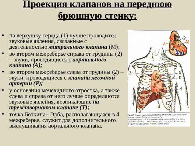 Второе межреберье справа