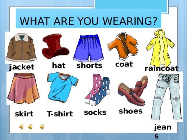 WHAT ARE YOU WEARING? coat hat shorts jacket raincoat shoes socks skirt T-shirt jeans 