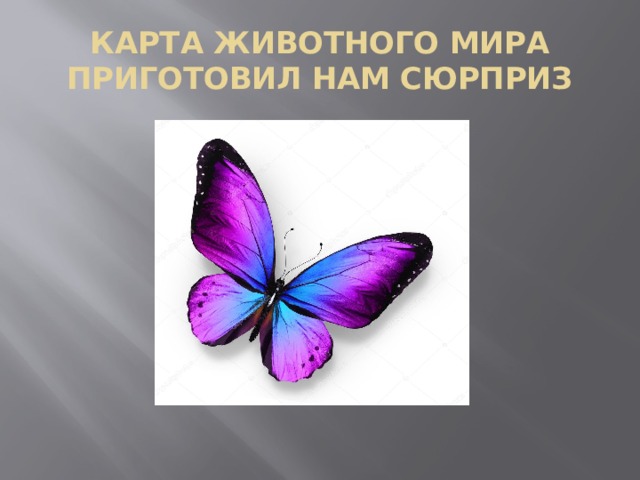 КАРТА ЖИВОТНОГО МИРА ПРИГОТОВИЛ НАМ СЮРПРИЗ 