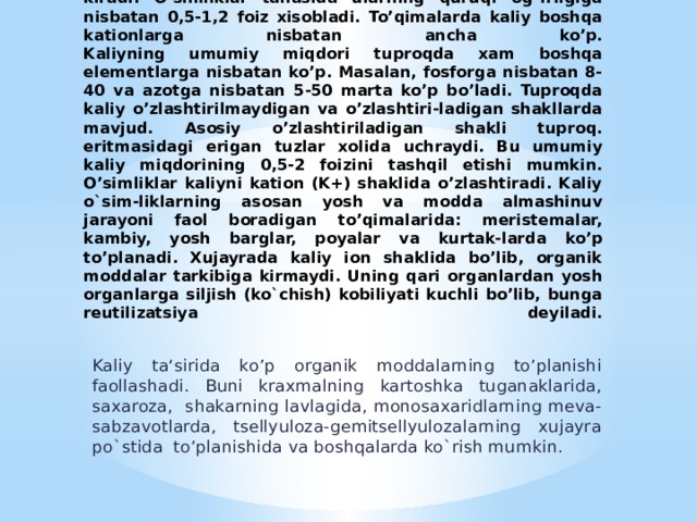 KALIY. Kaliy o’simliklar uchun zarur metallar guruhiga kiradi. O’simliklar tanasida ularning quruq. og`irligiga nisbatan 0,5-1,2 foiz xisobladi. To’qimalarda kaliy boshqa kationlarga nisbatan ancha ko’p.  Kaliyning umumiy miqdori tuproqda xam boshqa elementlarga nis­batan ko’p. Masalan, fosforga nisbatan 8-40 va azotga nisbatan 5-50 marta ko’p bo’ladi. Tuproqda kaliy o’zlashtirilmaydigan va o’zlashtiri-ladigan shakllarda mavjud. Asosiy o’zlashtiriladigan shakli tuproq. eritmasidagi erigan tuzlar xolida uchraydi. Bu umumiy kaliy miqdorining 0,5-2 foizini tashqil etishi mumkin.  O’simliklar kaliyni kation (K+) shaklida o’zlashtiradi. Kaliy o`sim-liklarning asosan yosh va modda almashinuv jarayoni faol boradigan to’qimalarida: meristemalar, kambiy, yosh barglar, poyalar va kurtak-larda ko’p to’planadi. Xujayrada kaliy ion shaklida bo’lib, organik moddalar tarkibiga kirmaydi. Uning qari organlardan yosh organlarga siljish (ko`chish) kobiliyati kuchli bo’lib, bunga reutilizatsiya deyiladi.   Kaliy ta‘sirida ko’p organik moddalarning to’planishi faollashadi. Buni kraxmalning kartoshka tuganaklarida, saxaroza, shakarning lavlagida, monosaxaridlarning meva-sabzavotlarda, tsellyuloza-gemitsellyulozalarning xujayra po`stida to’planishida va boshqalarda ko`rish mumkin. 