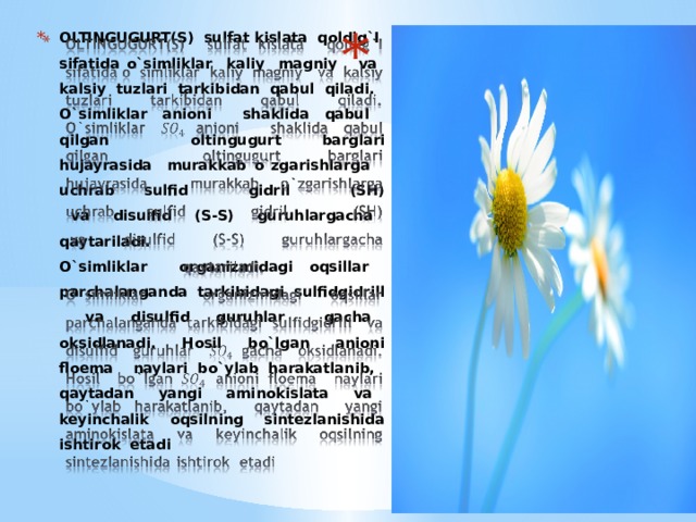 OLTINGUGURT(S) sulfat kislata qoldig`I sifatida o`simliklar kaliy magniy va kalsiy tuzlari tarkibidan qabul qiladi.  O`simliklar anioni shaklida qabul qilgan oltingugurt barglari  hujayrasida murakkab o`zgarishlarga uchrab sulfid gidril (SH)  va disulfid (S-S) guruhlargacha qaytariladi.  O`simliklar organizmidagi oqsillar parchalanganda tarkibidagi sulfidgidrill va disulfid guruhlar gacha oksidlanadi. Hosil bo`lgan anioni floema naylari bo`ylab harakatlanib, qaytadan yangi aminokislata va keyinchalik oqsilning sintezlanishida ishtirok etadi   