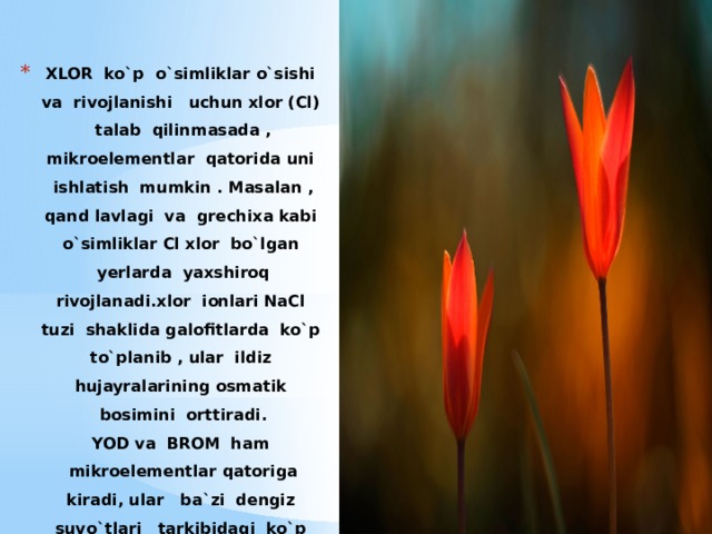 XLOR ko`p o`simliklar o`sishi va rivojlanishi uchun xlor (Cl) talab qilinmasada , mikroelementlar qatorida uni ishlatish mumkin . Masalan , qand lavlagi va grechixa kabi o`simliklar Cl xlor bo`lgan yerlarda yaxshiroq rivojlanadi.xlor ionlari NaCl tuzi shaklida galofitlarda ko`p to`planib , ular ildiz hujayralarining osmatik bosimini orttiradi.  YOD va BROM ham mikroelementlar qatoriga kiradi, ular ba`zi dengiz suvo`tlari tarkibidagi ko`p miqdorda to`planadi.   
