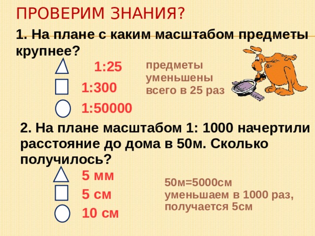 На плане все уменьшено в 800