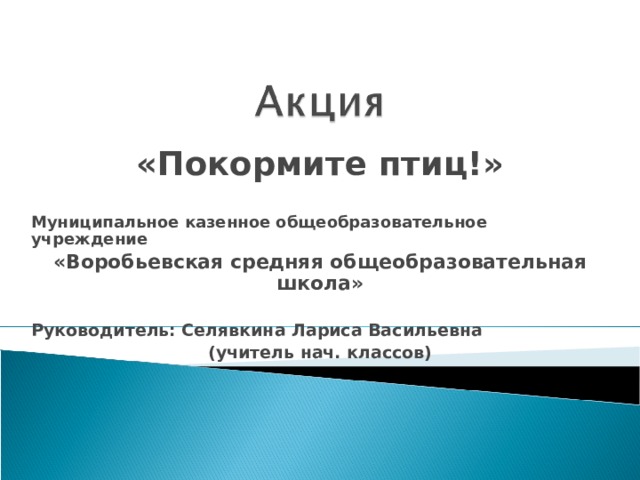 «Покормите птиц!»  Муниципальное казенное общеобразовательное учреждение «Воробьевская средняя общеобразовательная школа»  Руководитель: Селявкина Лариса Васильевна (учитель нач. классов)    