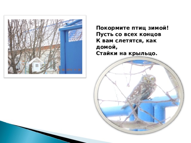 Покормите птиц зимой! Пусть со всех концов К вам слетятся, как домой, Стайки на крыльцо. 
