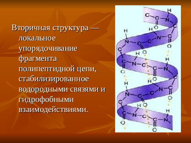 Презентация к интегрированному уроку химии и биологии по теме "Белки"