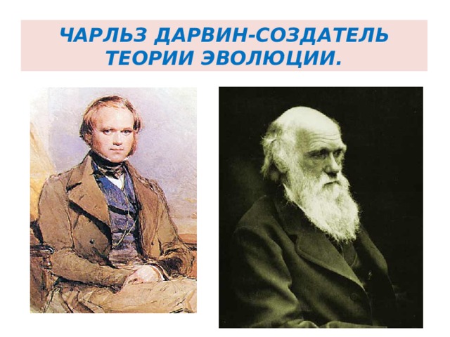 Чарльз Дарвин-создатель теории эволюции. 