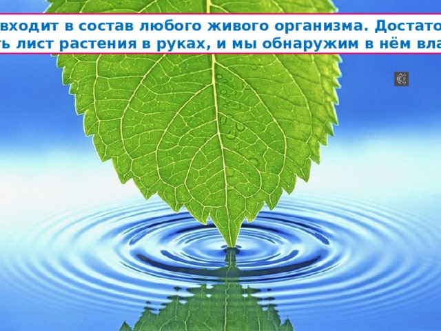 Свойства воды 3 класс окружающий мир презентация