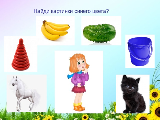 Найди картинки синего цвета? 