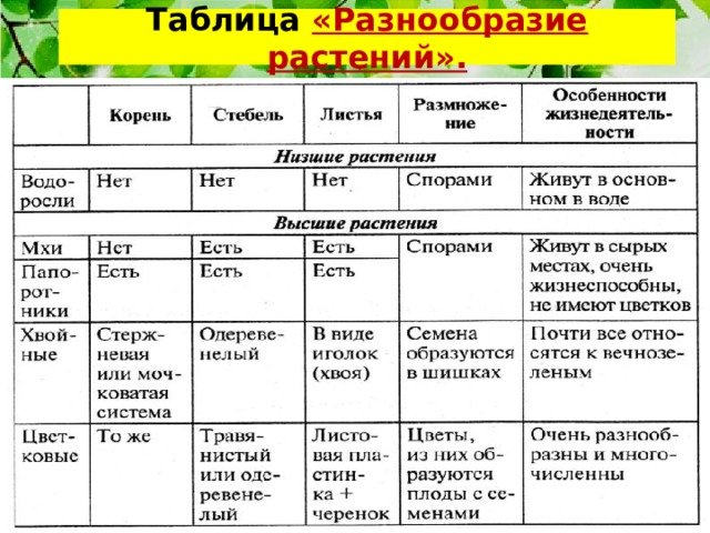 Таблица «Разнообразие растений». 