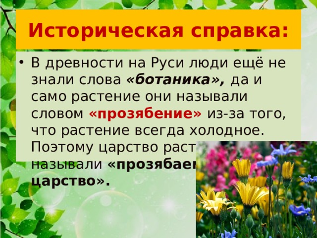 Историческая справка: В древности на Руси люди ещё не знали слова «ботаника», да и само растение они называли словом «прозябение» из-за того, что растение всегда холодное. Поэтому царство растений называли «прозябаемое царство». 