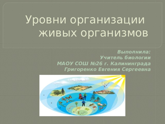 Презентация уровни организации живых организмов 5 класс. Презентация уровни организации живого 9 класс.