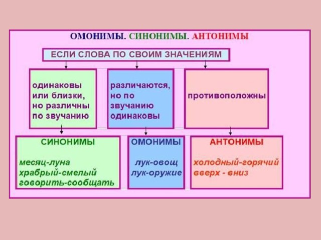 Синонимы антонимы паронимы 5 класс