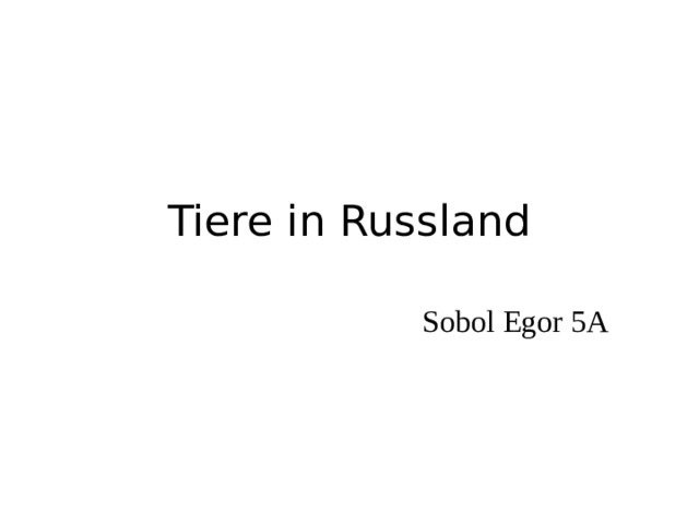 Tiere in Russland Sobol Egor 5A 