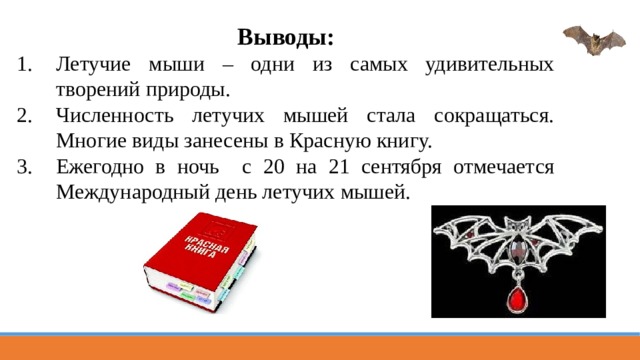 Выводы: Летучие мыши – одни из самых удивительных творений природы. Численность летучих мышей стала сокращаться. Многие виды занесены в Красную книгу. Ежегодно в ночь с 20 на 21 сентября отмечается Международный день летучих мышей.  