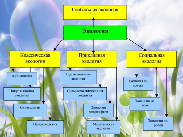 Схема окружающей среды