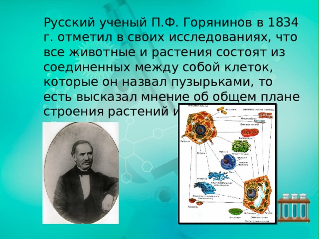 Русский ученый П.Ф. Горянинов в 1834 г. отметил в своих исследованиях, что все животные и растения состоят из соединенных между собой клеток, которые он назвал пузырьками, то есть высказал мнение об общем плане строения растений и животных. 