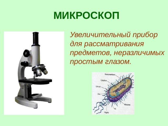  МИКРОСКОП Увеличительный прибор для рассматривания предметов, неразличимых простым глазом.  