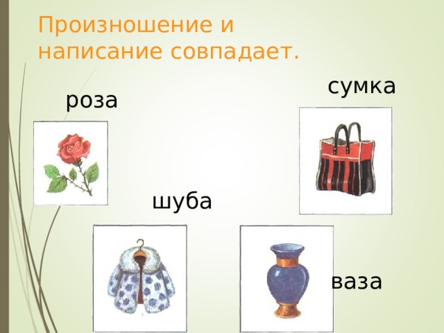 Произношение и написание совпадает.  сумка роза шуба ваза 