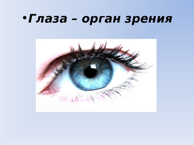 Глаза – орган зрения 
