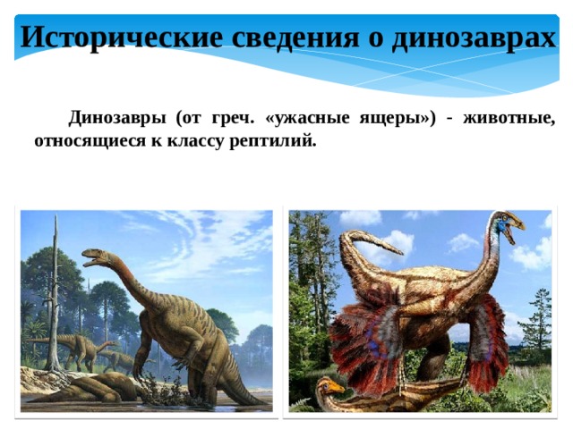 Исторические сведения о динозаврах  Динозавры (от греч. «ужасные ящеры») - животные, относящиеся к классу рептилий.  